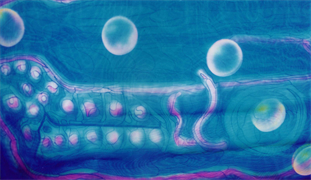 Original Artworks,
Buy 3D Wall Art